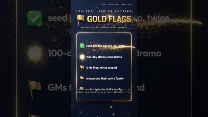 Pahami Miner Red Flags vs Gold Flags #torium #education #web3security