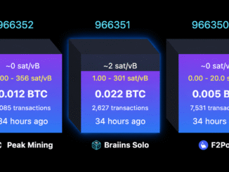 Solo Bitcoin Miner Hits $244K Jackpot After Nearly 40-Day Drought