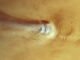 Image of cloud on Mars