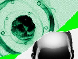 AI Came for Math. Now It’s Chasing the Rest of Science