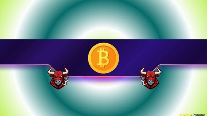Bitcoin (BTC) Shows a 'Major Sign of Strength:' Price Rally Incoming?