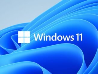 The MS Windows 11 logo