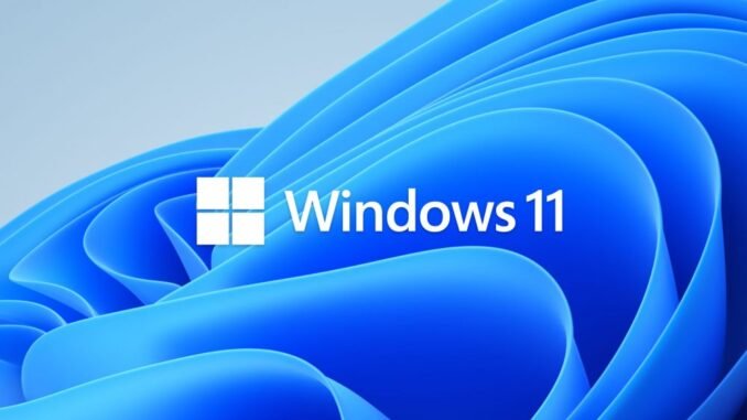The MS Windows 11 logo