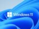 The MS Windows 11 logo
