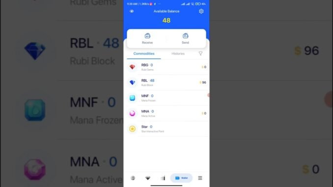 Rubi RBL Coin Buy For Kyc 1.6 #rblcoin #rubinetwork #rubinetwork