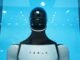 Tesla stars Optimus robot production in California as profit falls 43%
