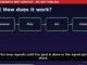 What Are AI Agents? A Simple Explanation for Beginners